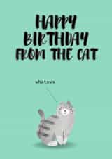 Moody Whatever Cat Birthday Wishes created by Dangerous Dave 