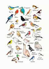 Arty Birthday Card - Birds - Hand Drawn created by Katie Moody
