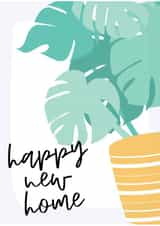 Cheese plant, house warming gift created by MillennialprintsCo