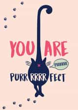 You are Purrrrfect Cat Love Card created by Studio Peers