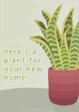 A Plant For Your New Home created by Emily Underworld