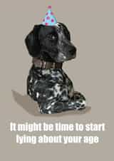 Cheeky Dog Birthday Advice created by MabelCreations