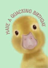 Quacking Birthday Chick created by Scrambled Meg Designs 