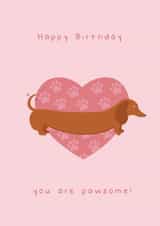Dachshund Pawsome Birthday Card created by Holly Studio
