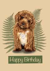 Cute Cavapoo Birthday Card 1001 created by Fat Nancy Cards