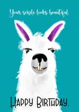 Funny Llama Smile Birthday Wishes created by The Arty Apples Limited