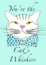 You're the Cat's Whiskers Appreciation card How Wonderful You Are card created by RuthChurchillDesigns