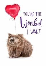 You're the Wombat I want created by Citrus Bunn