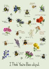Bee-utiful British Bees and Wildflowers created by PetitArt