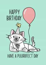 Cute Cat Birthday, happy birthday, for her, for mum, for girlfriend, cat lover created by By Emma Dearling