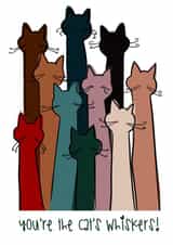 You're the cat's whiskers! created by Kit Made It