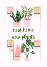 New home new plants created by Custom Card Co Shop