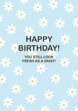 Fresh as a daisy birthday card! created by Elba Able