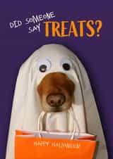 Funny Halloween Trick-or-Treat Dog in Ghost Costume created by Lisa Crisafi