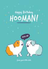 Rude Guinea Pig Birthday Card - from your little shits created by Goofy Guineas