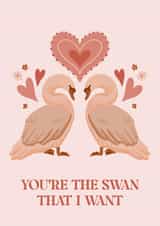 You're the swan that I want created by Beth Wake