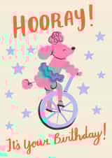 Circus Dog Birthday Card created by Catalina Williams