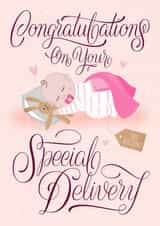 Special Baby Girl Delivery, No Returns! created by Laura Scribbles