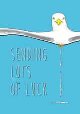 Bird poo, Good Luck Wishes created by Quinton cards