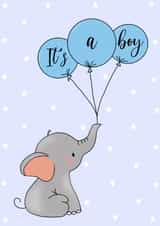 Elephant Balloons Baby Boy Card created by Kittiwake Creations