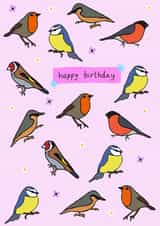UK Garden Bird Birthday Card 1001 created by Zoë Nash