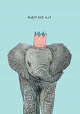 Elephant in a Party Hat Card created by Amelia Ilangaratne