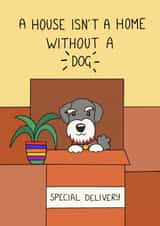 Cute Dog Delivery New Home Card - Schnauzer - A House Isn't A Home Without A Dog created by Schnauzer Scribbles