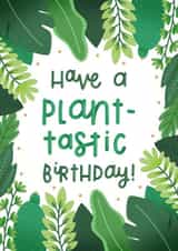 Have a Plant-tastic Birthday Card created by Joanne Hawker
