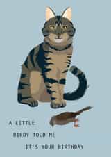 A Little Birdy Told Me It's Your Birthday 1001 created by Taura Designs