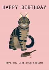 Hope You Like Your Present Cat Birthday Card 1001 created by Taura Designs