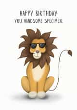 Funny Lion Happy Birthday Handsome Card created by Lanther Black