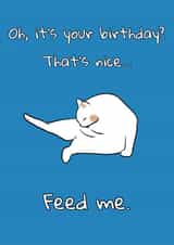 Cattitude Feed Me, Birthday Card created by Nikki Noo Cards