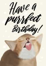 Have a Purrfect Birthday created by onethirtysix_am