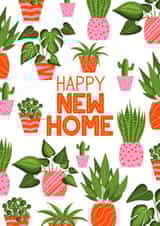 Pretty House Plant New Home Card - Plants - Cactus - Happy New Home created by Sarah Cowan