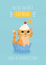 Cat Mum Brithday/Mother's day card created by Stephanie Lidbetter 