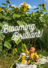 Blooming Brilliant  created by EtT21