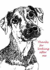 Thank you card to a dog lover created by Nicky's Art