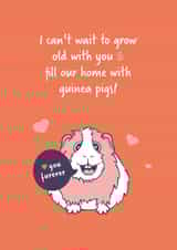 Romantic Guinea Pig Anniversary Card or Valentine's Day card. created by Goofy Guineas