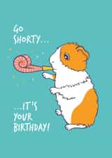 Go Shorty Guinea Pig Birthday Card created by Goofy Guineas