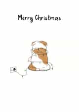 The light up dog  created by Ellen Cawley