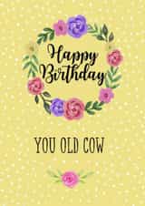Happy Birthday You Old Cow Sarcastic Card created by Pretty Cheeky