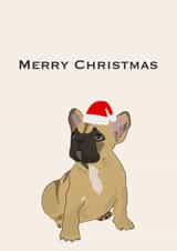 French bulldog Christmas wishes created by Accidental Artist