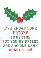 Merry Christmas You Prick created by Simply Nix