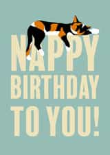 Happy Nappy Birthday Sleepy Calico Cat created by Lisa Crisafi
