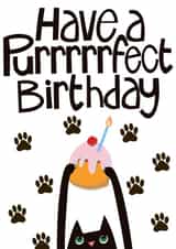 Pussy cat birthday cuteness created by Hinkypunk Illustration