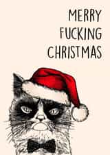 Angry Cat Christmas created by Poppy & Mabel