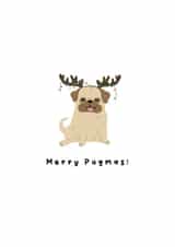 Merry Pugmas! created by Giggl Greetings 