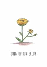 chin up buttercup created by doodlepuds