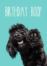 Birthday Boop Cockapoo Dog Card 1000 created by The Yorkshire Pawtrait Co.