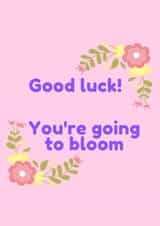 Good luck! You're going to bloom created by Abbe Smith
